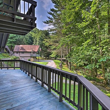 Roan Mountain Creekside Cabin Hike And Fish! ภายนอก รูปภาพ