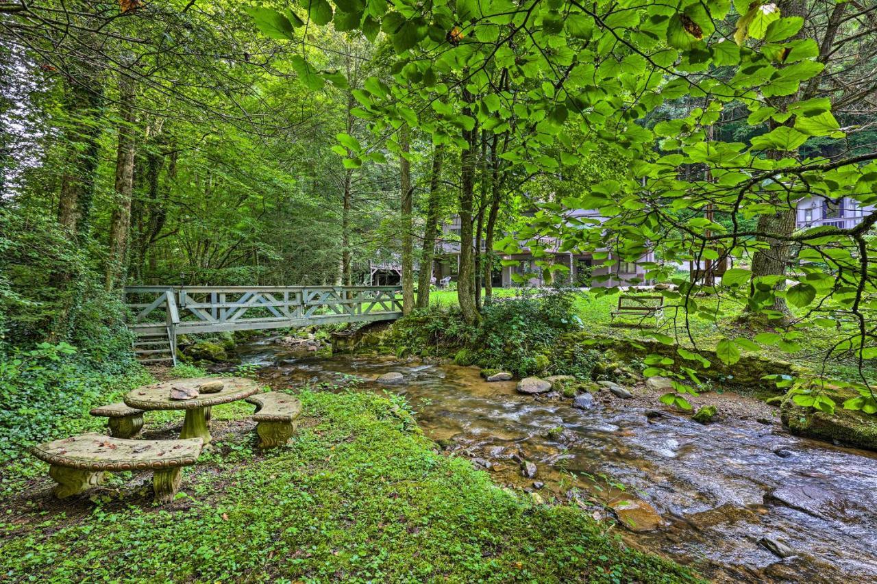 Roan Mountain Creekside Cabin Hike And Fish! ภายนอก รูปภาพ