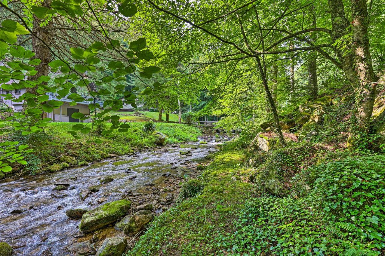 Roan Mountain Creekside Cabin Hike And Fish! ภายนอก รูปภาพ
